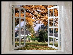 Okno, Widok, Jesienny, Przez